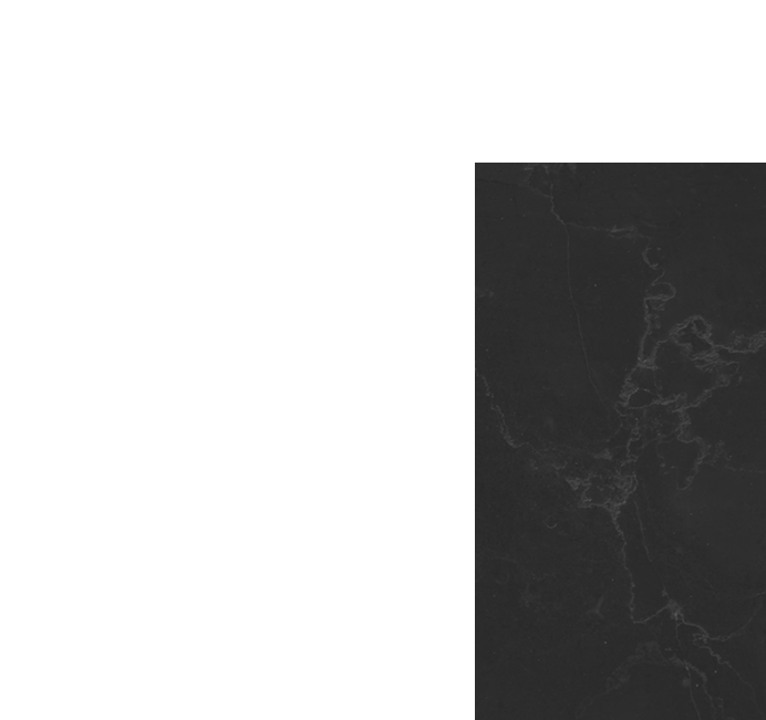 client-logo1-light